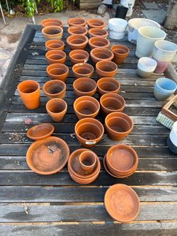 Mixed Terracotta and Ceramic Planters