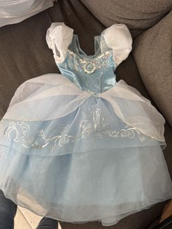 Cinderella Costume
