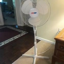 3 Speed Oscillating Fan