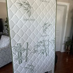 Firm Twin Mattress and Box Spring