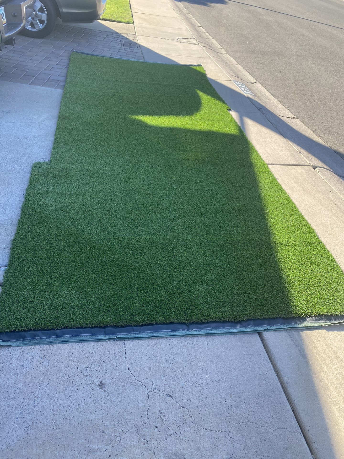 Artificial Grass