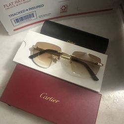 Cartier Sunglasses Wires Woods 
