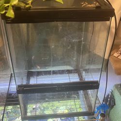 Reptile Terrarium