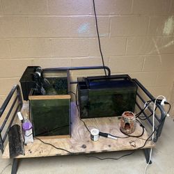 20 Gallon Aquarium 