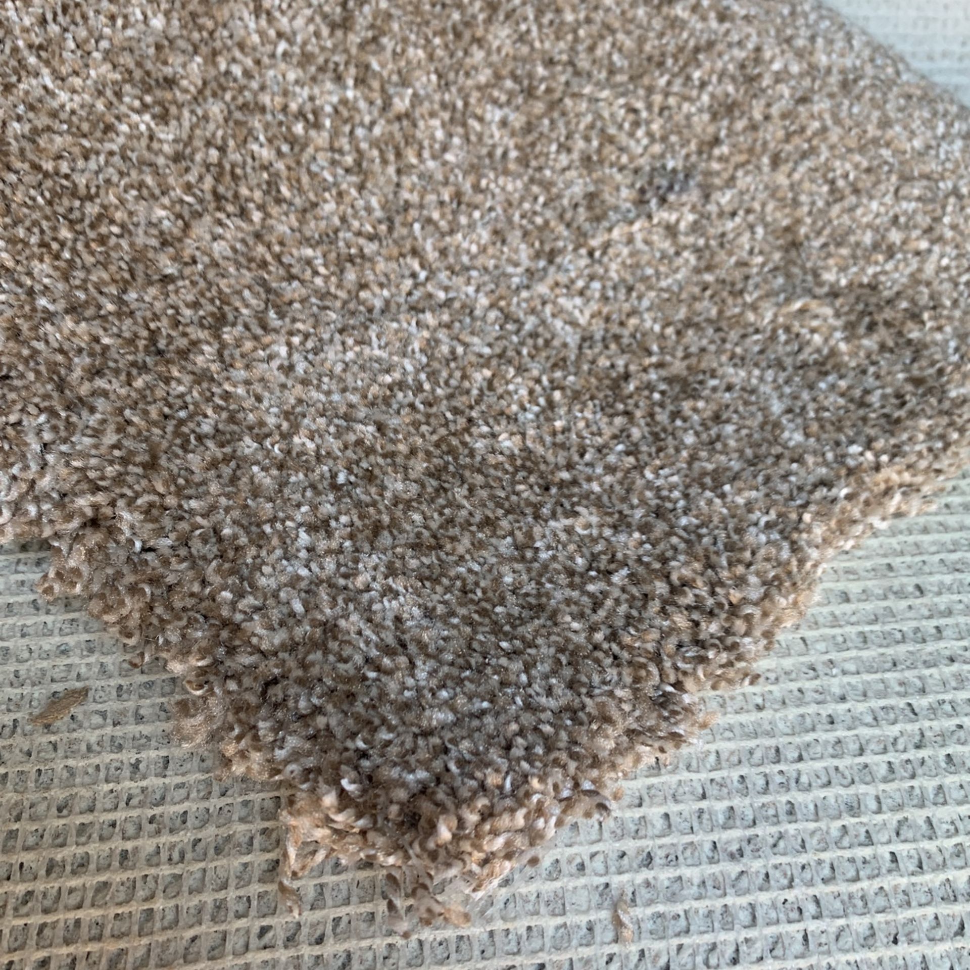 Carpet For Sale 