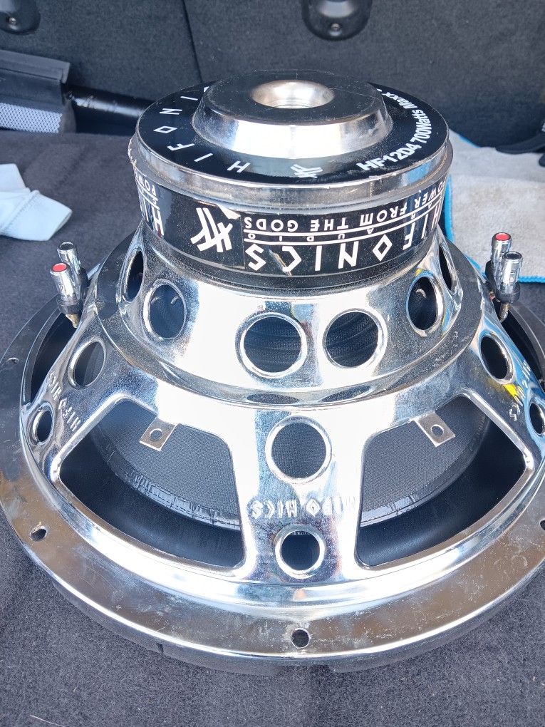 12" Subwoofer 