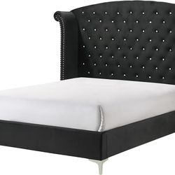 Brand new queen size bedframe 