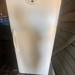 Standing Deep Freezer