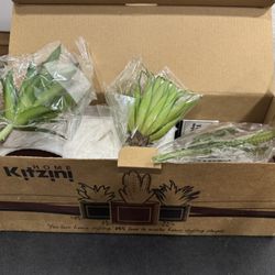 NIB Decorative Mini Plants