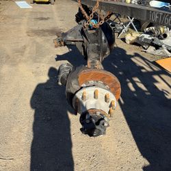 2024 Peterbild  Axel 