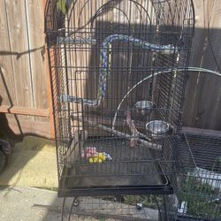 Bird Cage $20