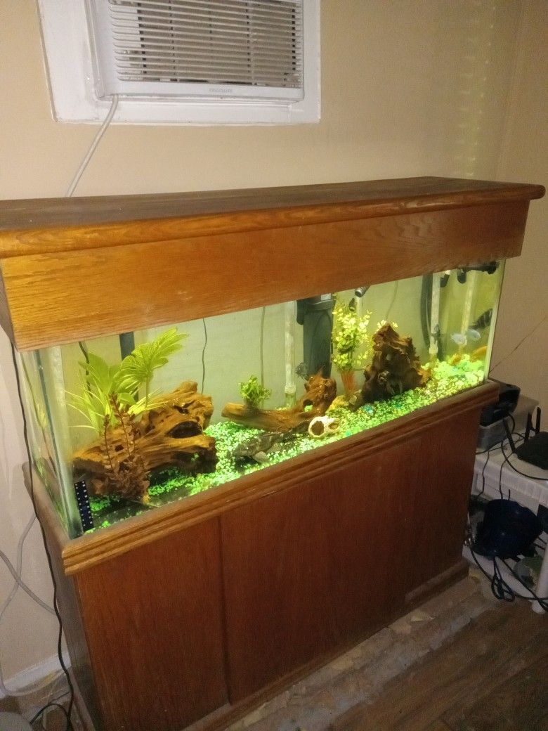 55 Gal Aquarium With Stand And Hood Cover