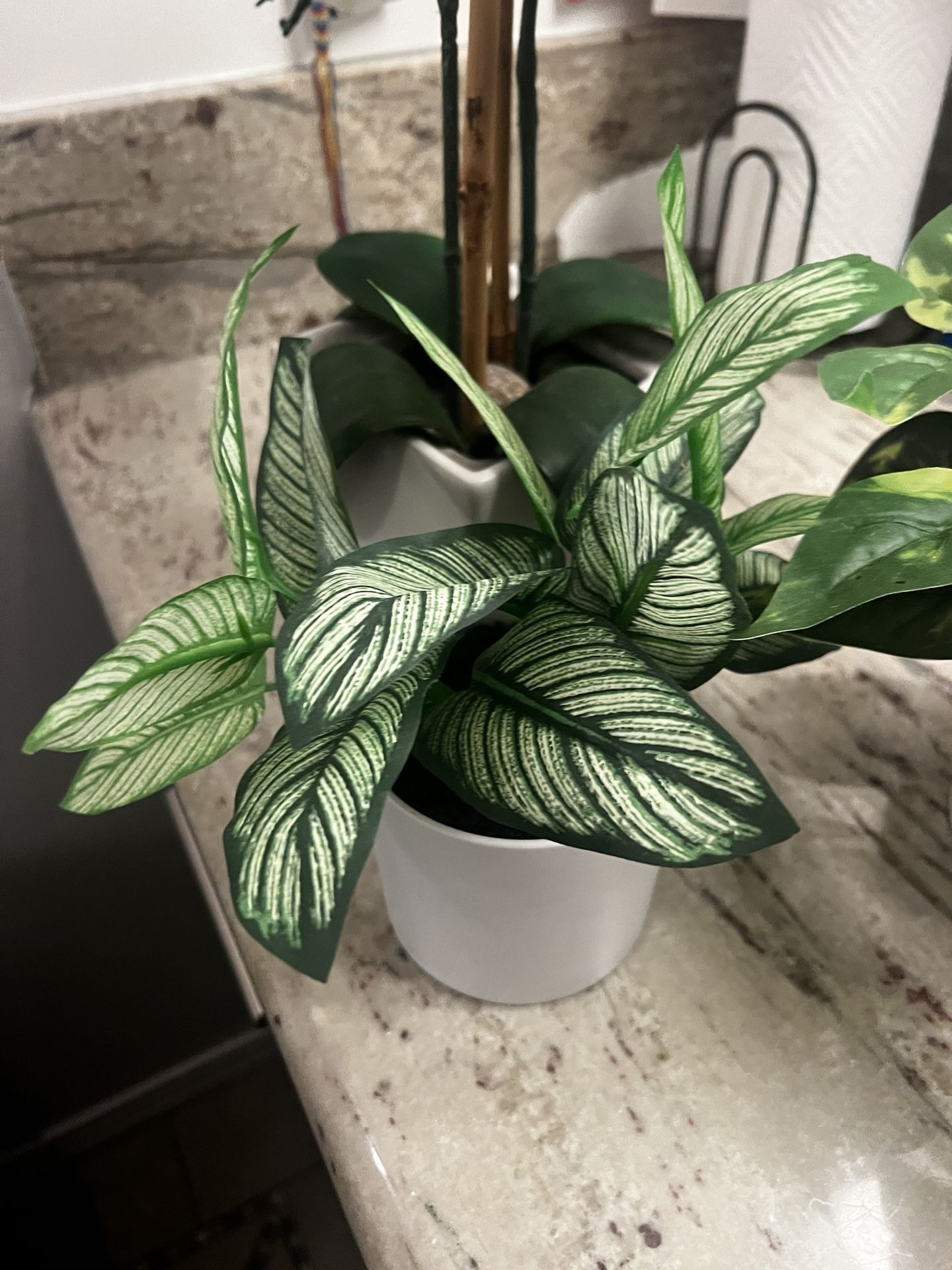 Fake Plants