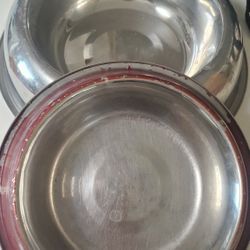 Dog Dishes