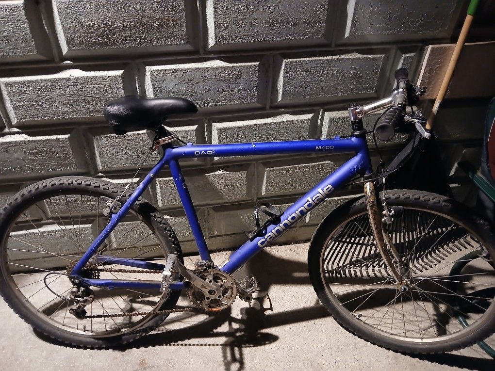 Men's Cannodale Mountain Bike