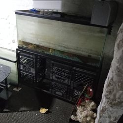 55 Gallon Fish Tank And Metal Stand 90 Or Best Offer