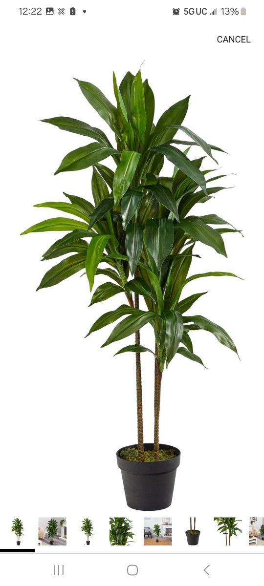 Natural 48" Dracaena Silk Plant (Real Touch) Green