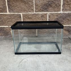 20g Tank Reptile 