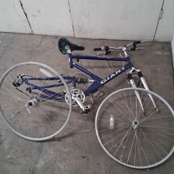 giant bicycle