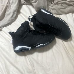 Air Jordan 6