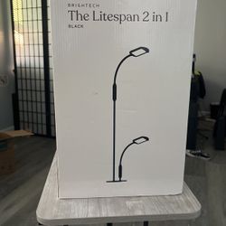 2 In One Lamp