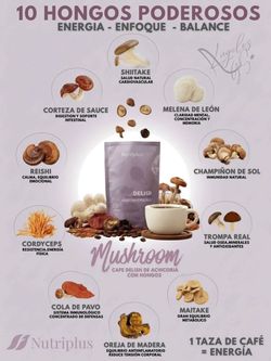 ☕️🍄 NUTRIPLUS DELISH MUSHROOM COFFEE