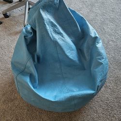 Bean Bag Chair