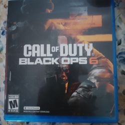 Black ops 6