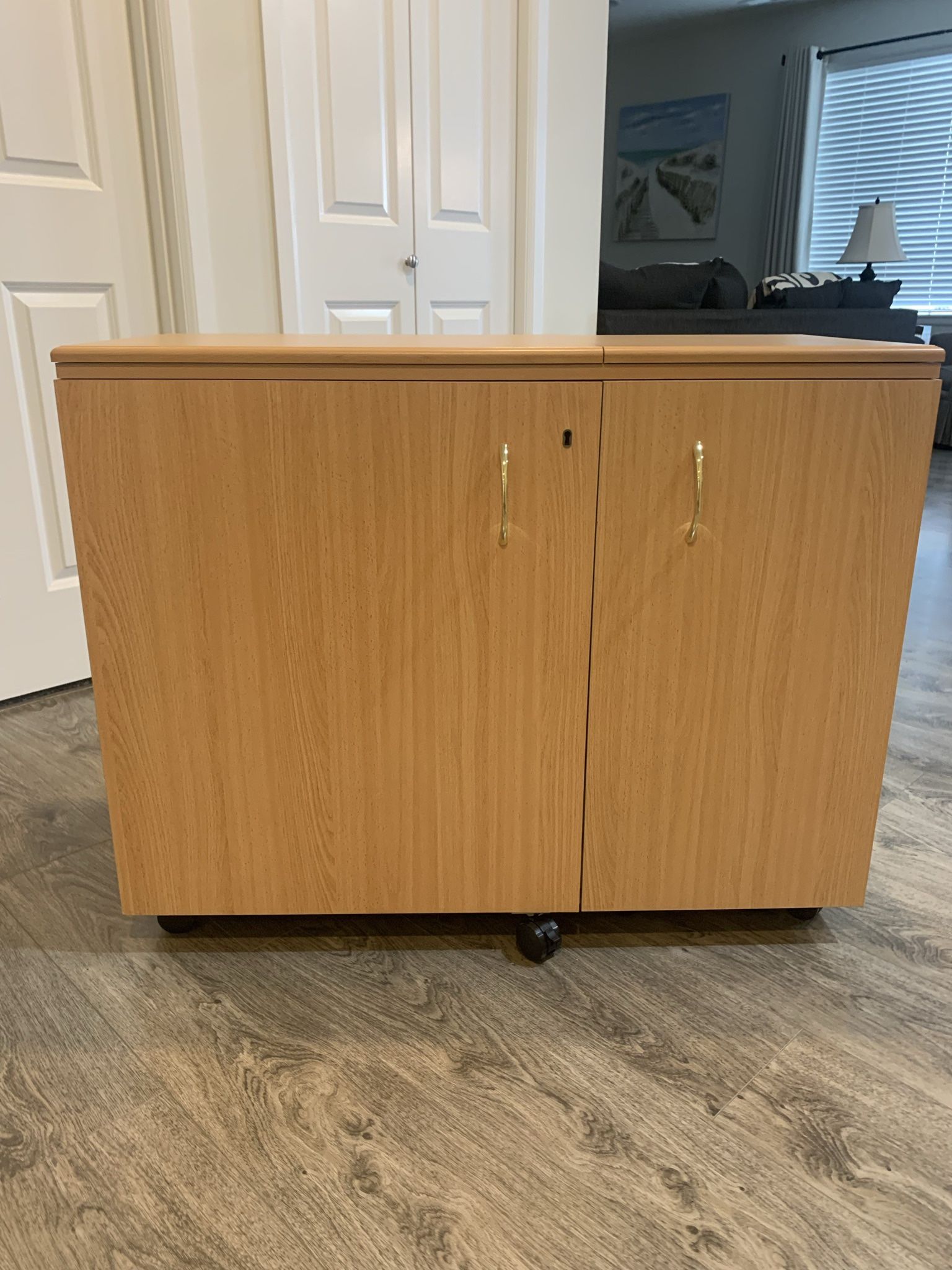 Sewing Cabinet