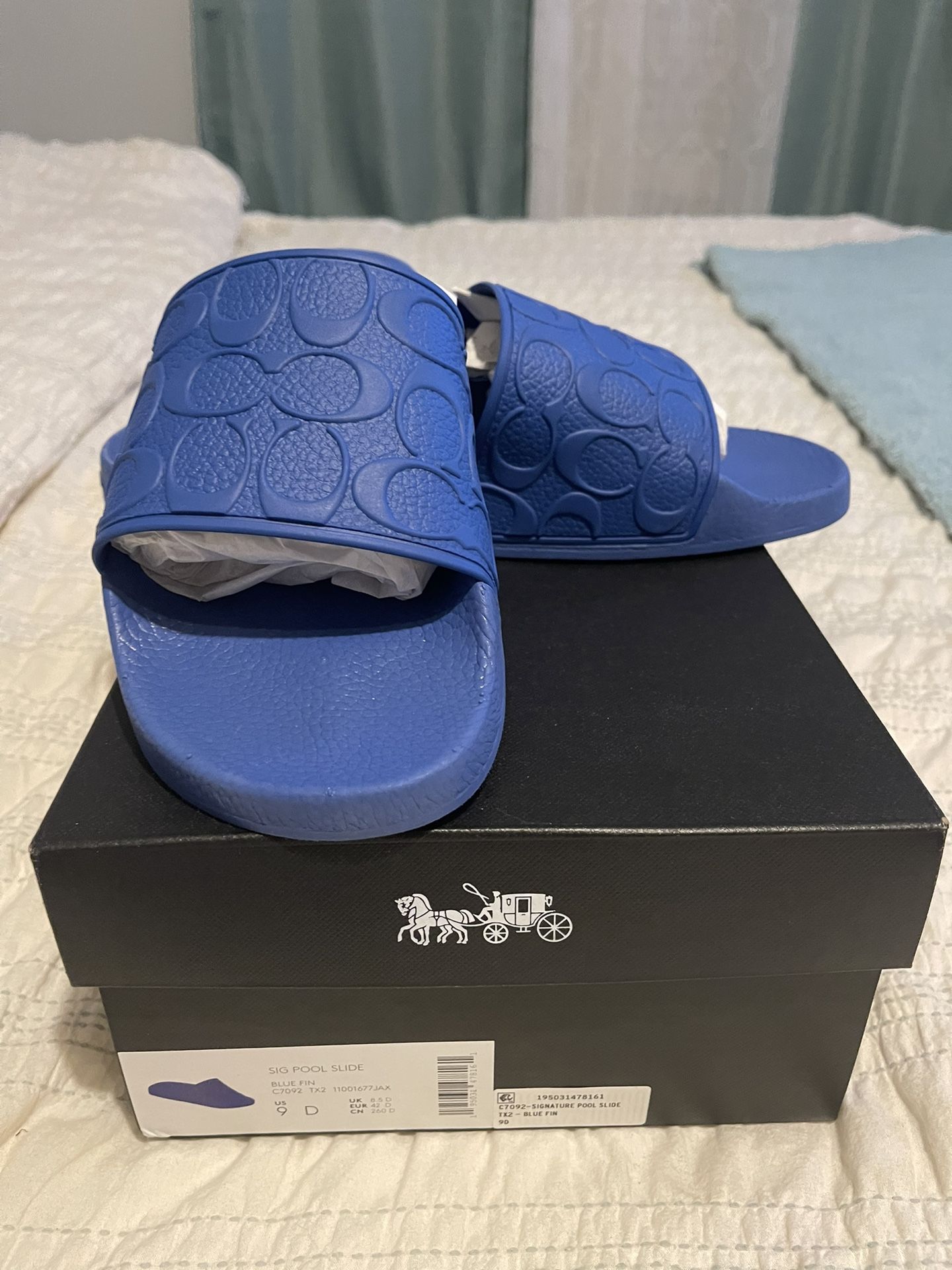 Blue Coach slides