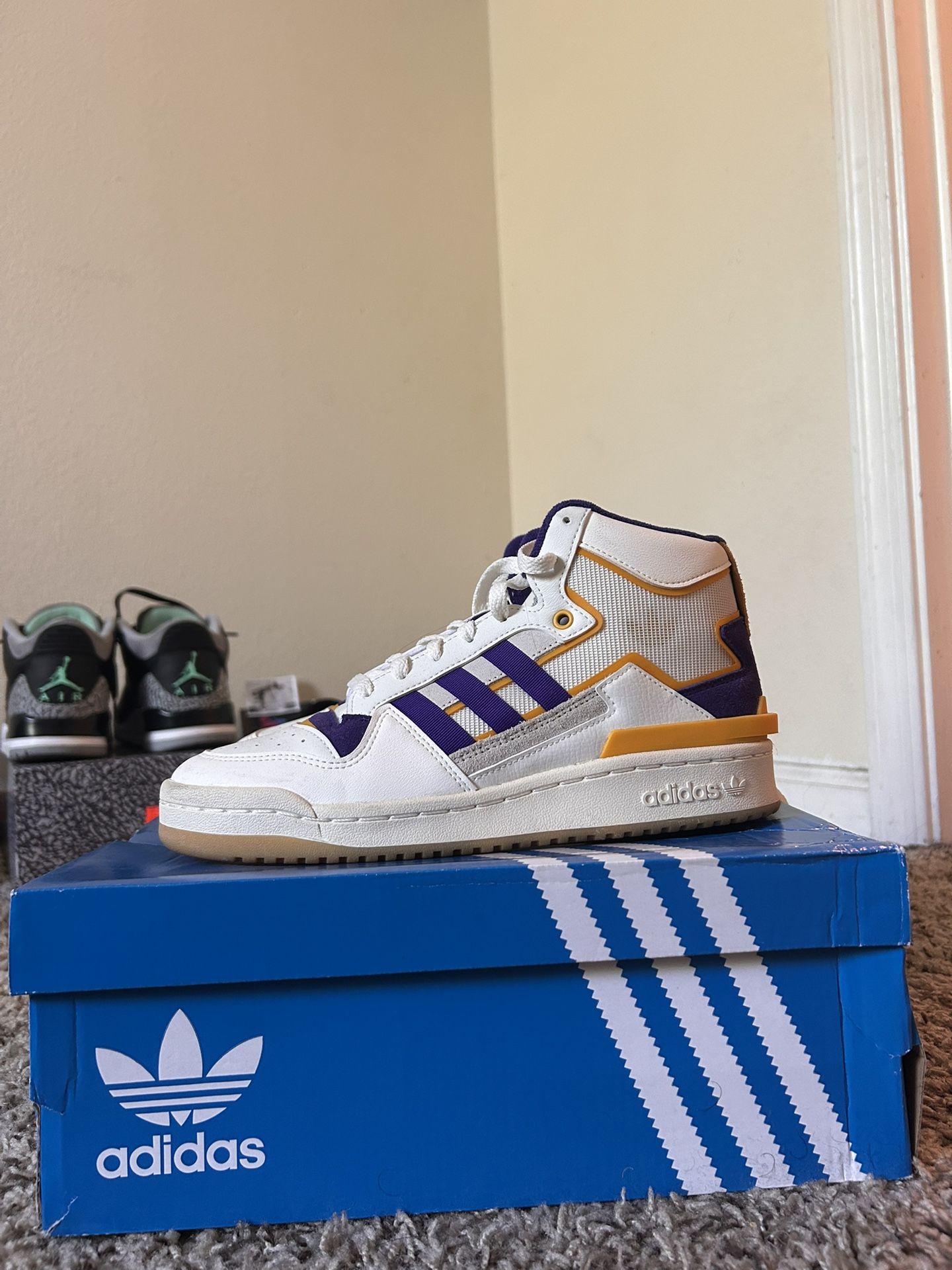 GS Sz 7 Forum Exhibit Mid 2 “lakers”