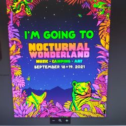 Nocturnal Wonderland Tickets 2 Days 2021