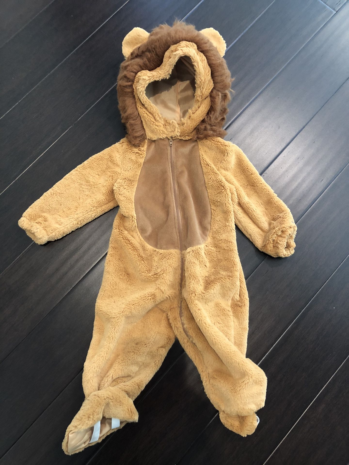 Lion Costume 12 months