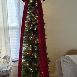 Christmas Tree Pre- Light🎄