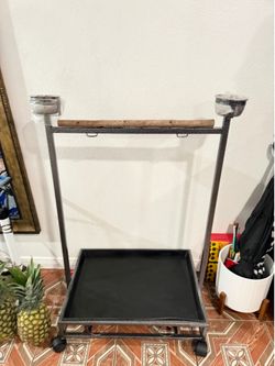 Bird stand