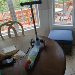 Bluey Scooter