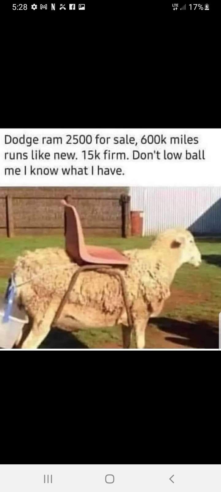 Dodge Ram Built Tough Plenty Of Life Left In Her