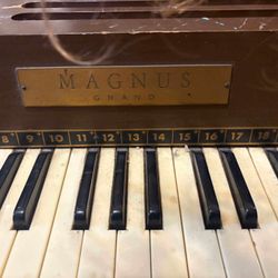 Organ