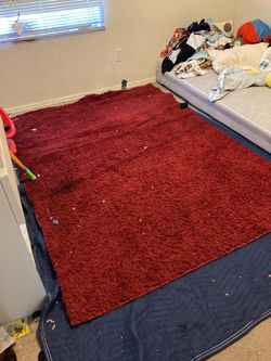 Red Rug