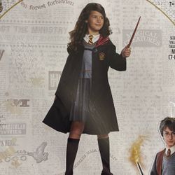 Harry potter  hermione granger
