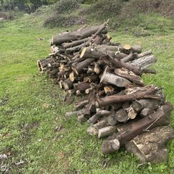 Firewood From Orange Trees (see Pictures)