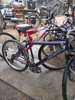 Vendo vaicas baratas