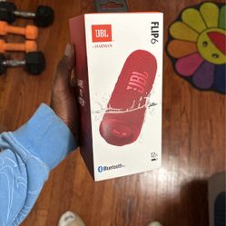 JBL Flip 6