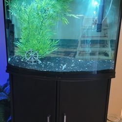 30 Gallon Aquarium Complete Setup.