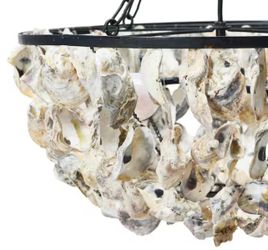 Oyster Shell chandelier 