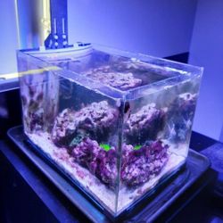 5.5 gal desktop micro fish tank aquarium reef saltwater