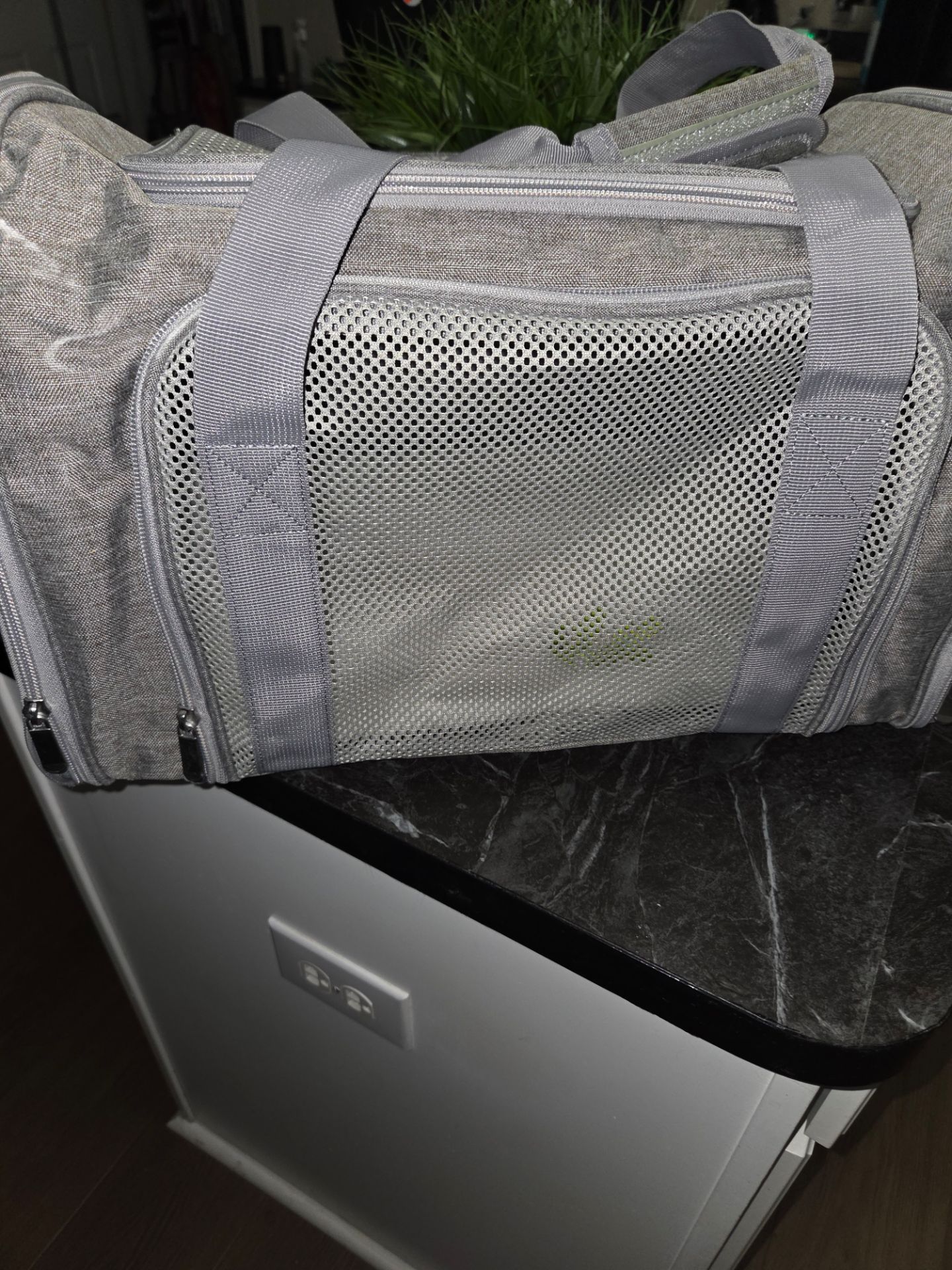 Pet carrier