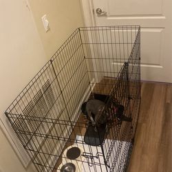 Dog Crate
