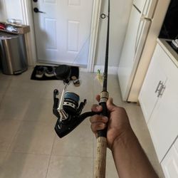 dawa fishing rod penn reel