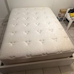 Queen Bed And Mattress